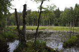 Kleiner See auf Linnansaari